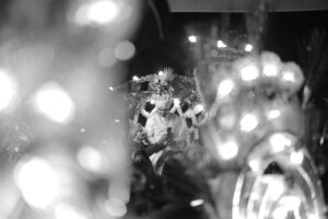 whatsapp image 2025 10 25 at 12.49.37 pm (1)