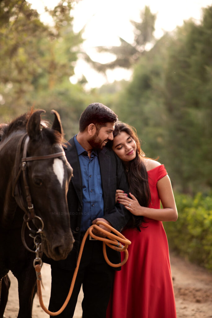 studio59 p6 studio59 p6